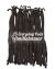 25 Everyday Madagascan Vanilla Pods Tin