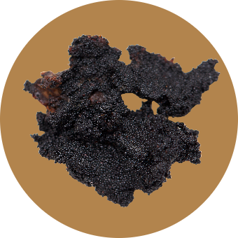 Vanilla caviar